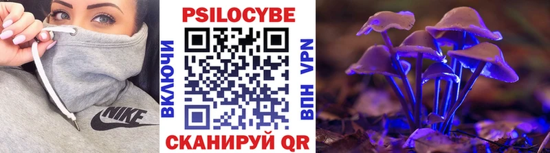 продажа наркотиков  Курчатов  Галлюциногенные грибы MAGIC MUSHROOMS 